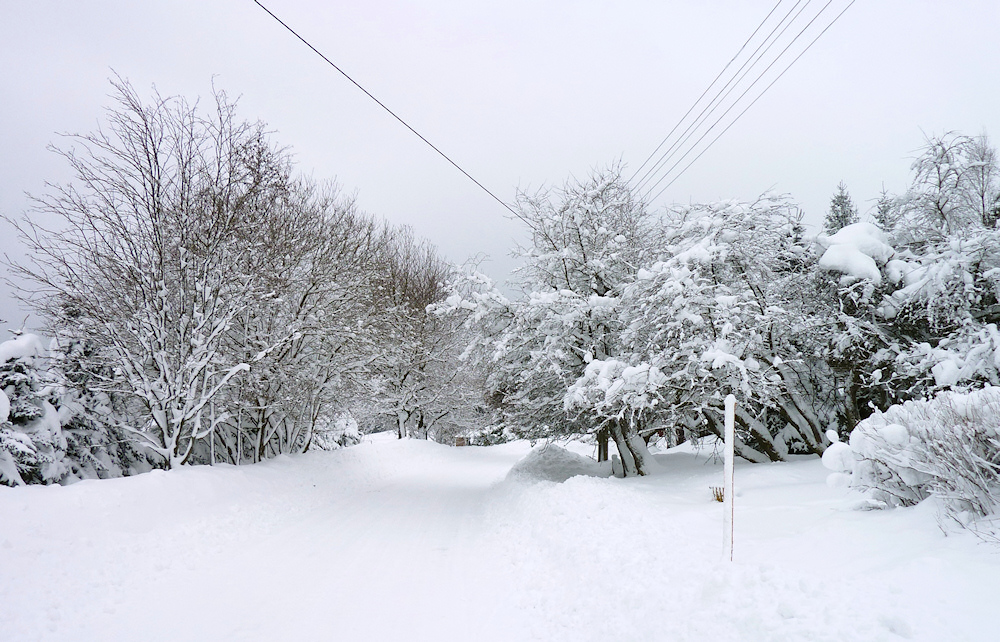 winter2012-1.jpg
